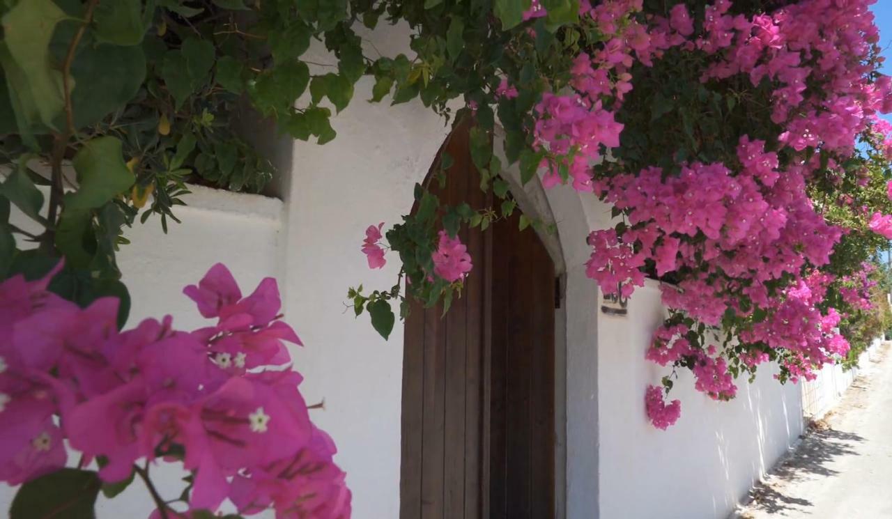 Alexiszorba Villa Plaka  Luaran gambar
